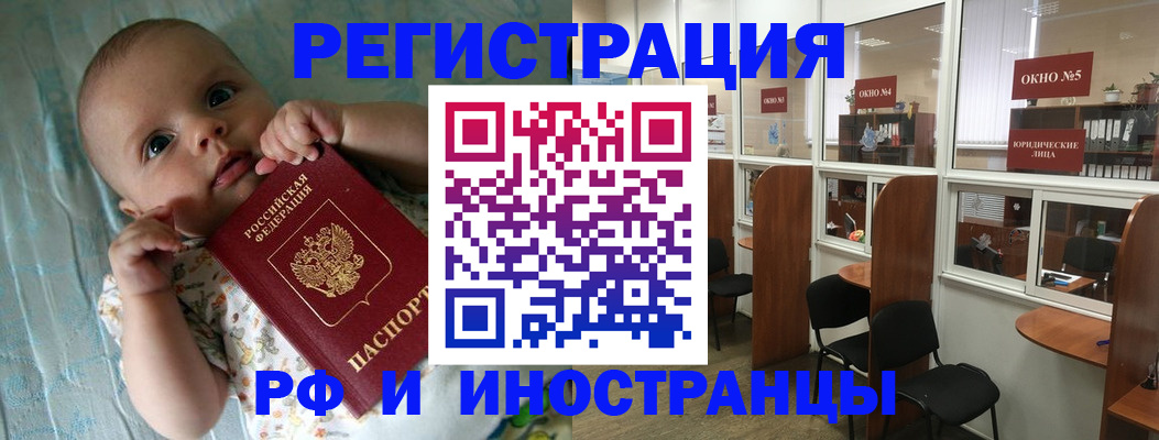 где прописаться в Ельне