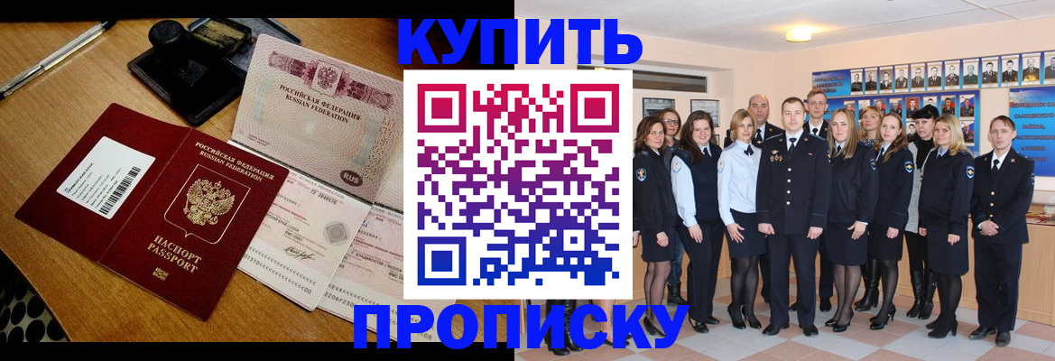 прописка 2025 в Ельне